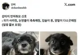 강아지 만져줘요 신호.jpg