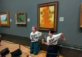 가짜 환경운동가 VS 진짜 환경운동가