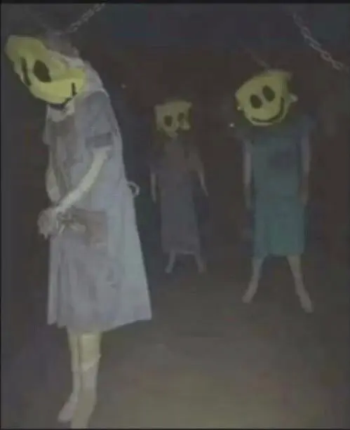 171ca46ee564f3069.jpeg