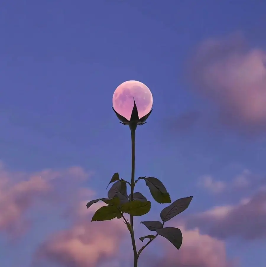 20260609001547_NQA4vk0D6c.jpg