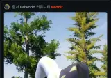 팰월드 신규 팰