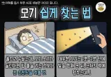 알아두면 좋은 꿀팁 (모기편)
