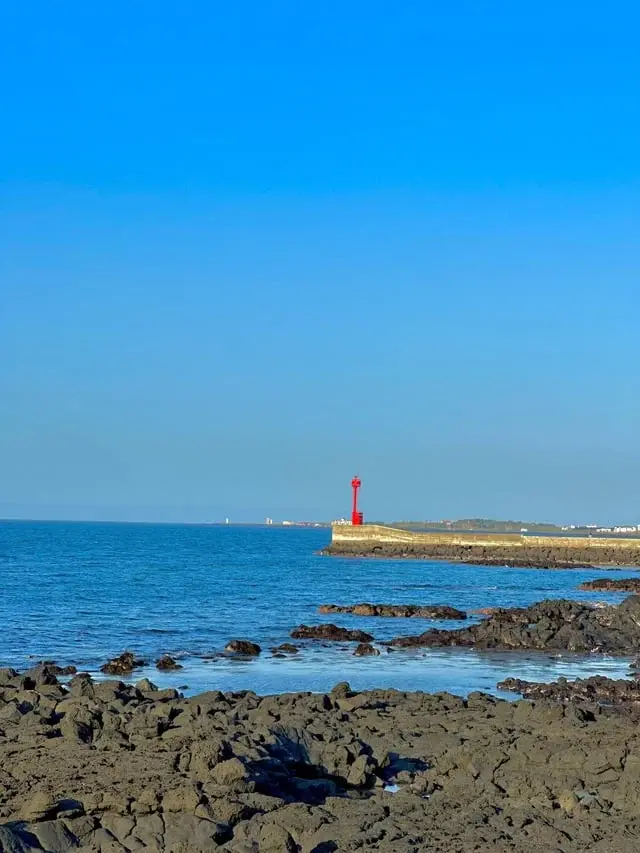 197edb84f0215f7b9.webp