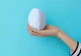 알에서 성체까지 펭귄 인형