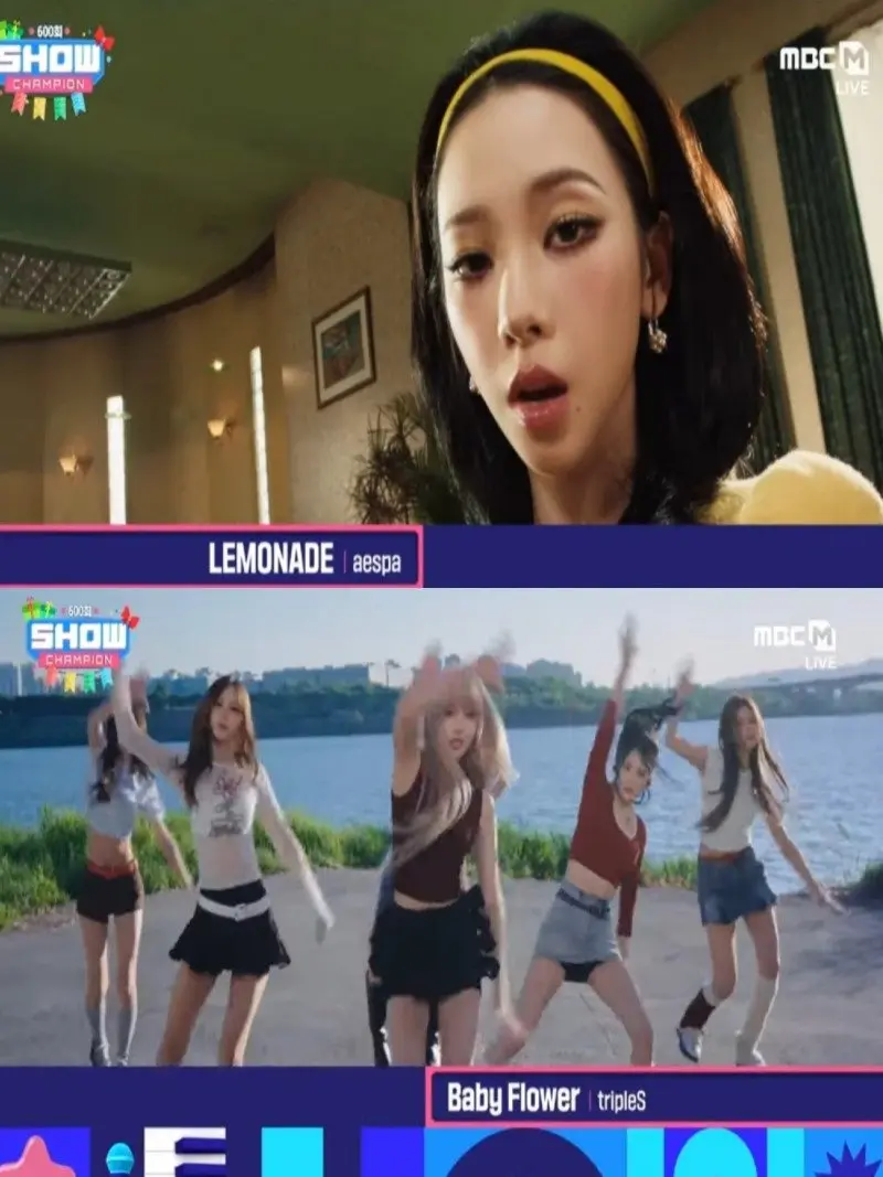 Show Champion 02.jpg