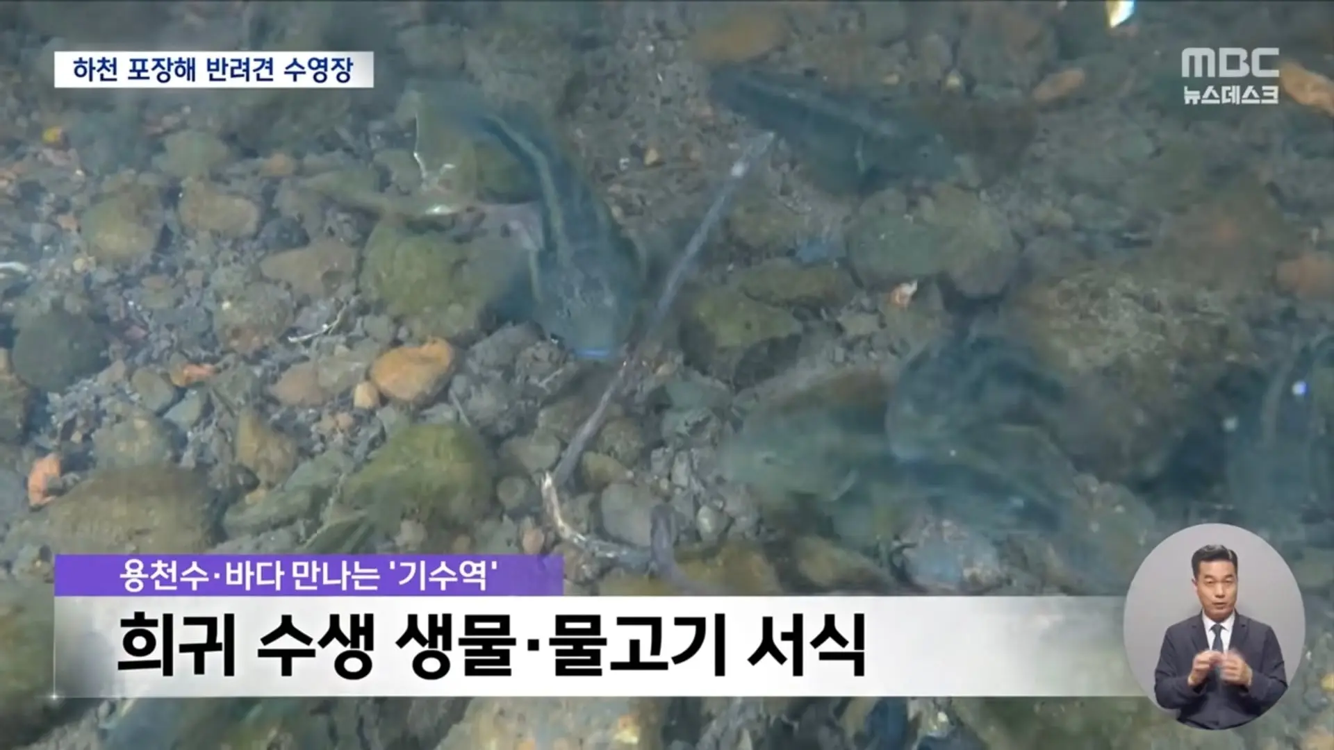 Screenshot_20260611_070213_YouTube.jpg