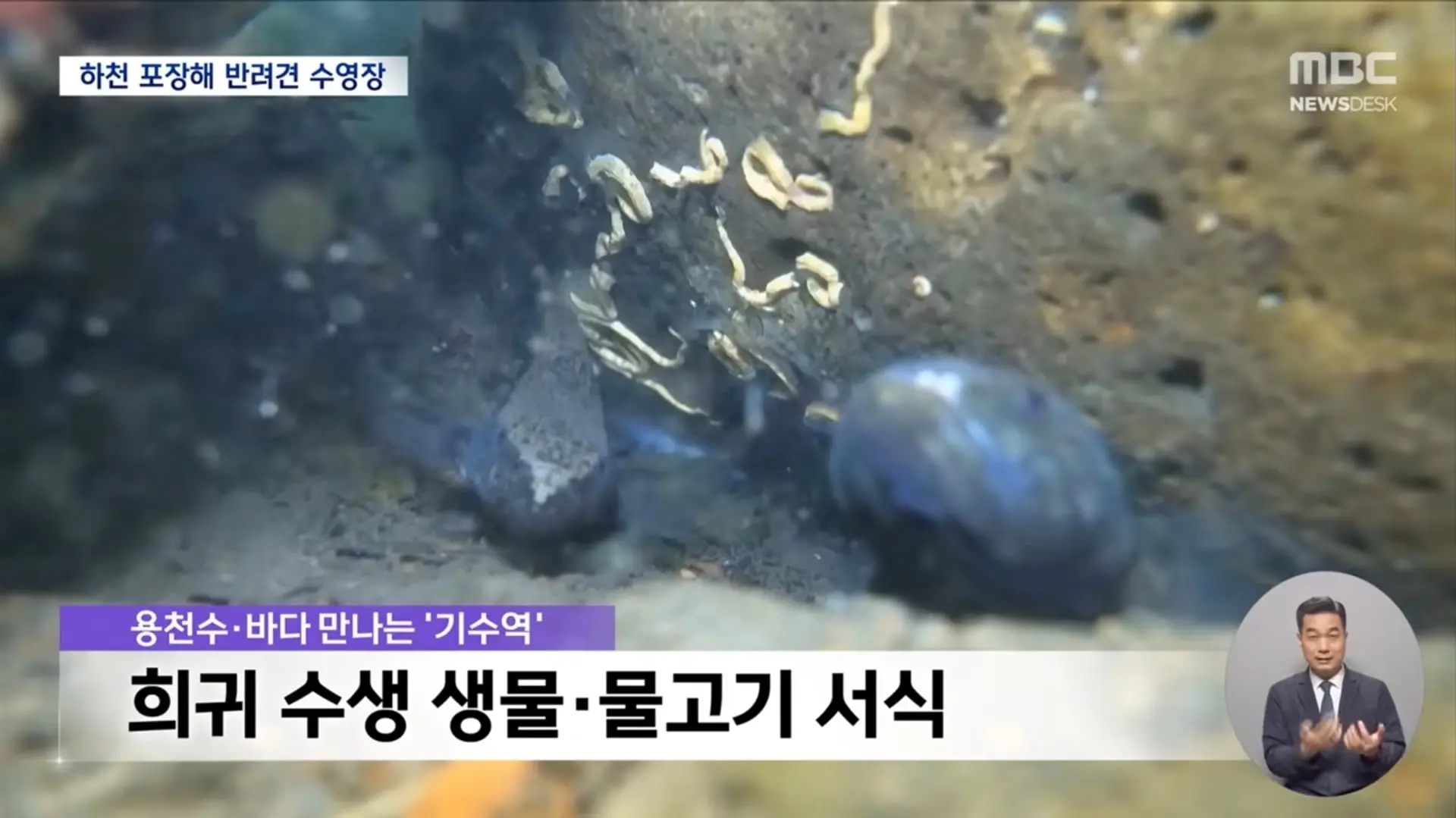Screenshot_20260611_070200_YouTube.jpg