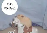 컴본갤의 현자.jpg