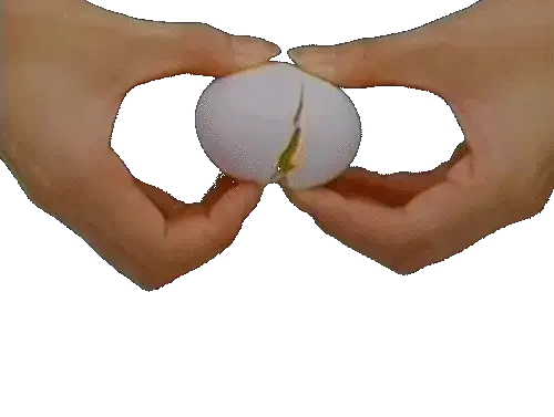 tumblr_nwcr3kBN0m1ujoxeho1_500.gif.webp