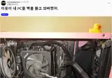 미국에 살면 겪을 수 있는 일
