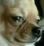 9942884183_486616_866e6ea4ca9471fe58894cc6f2d59867.png