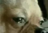 "우리게임 대규모 업데이트라도 하나봐ㅎㅎ"