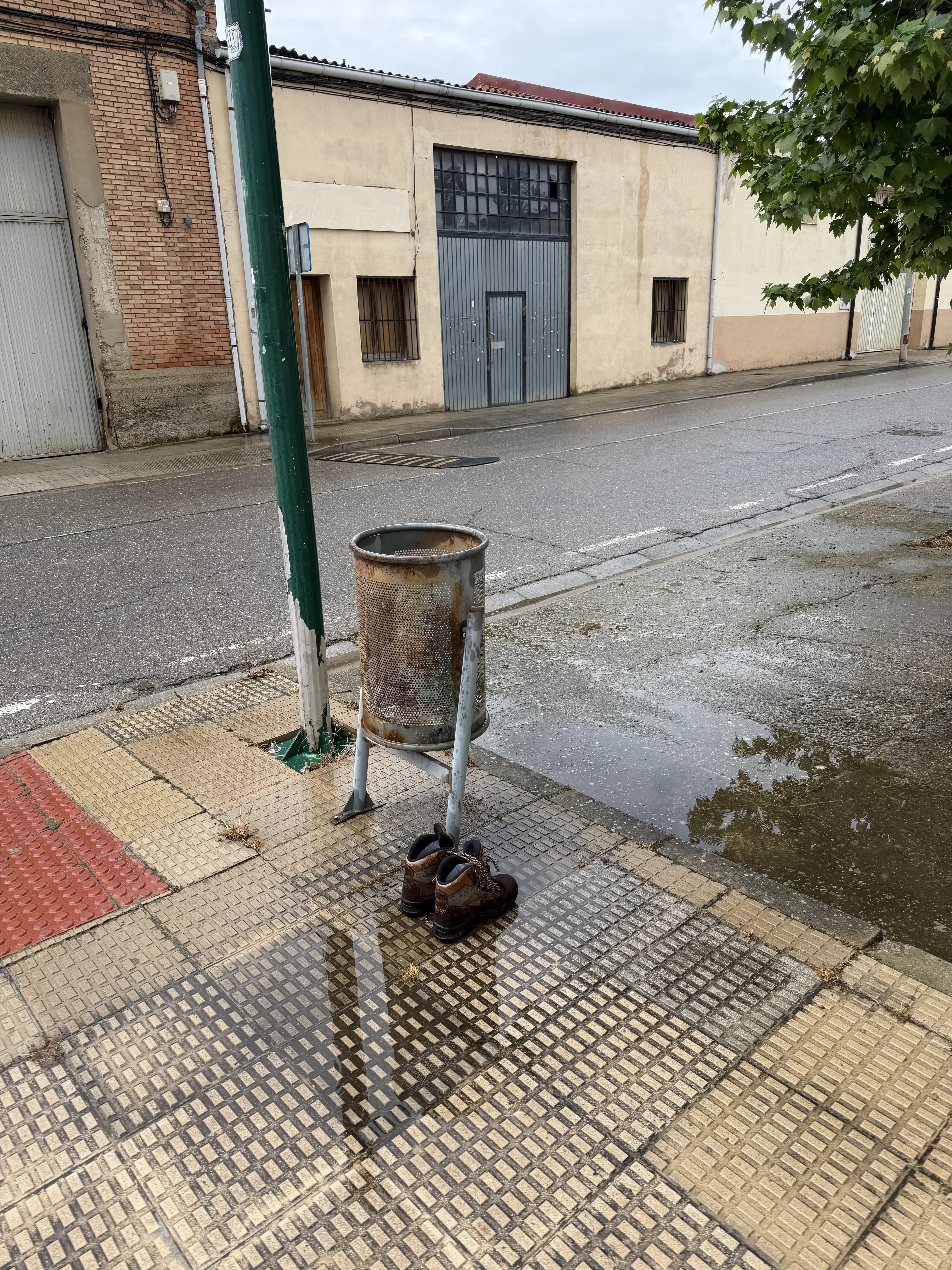 IMG_4050.jpeg.jpg