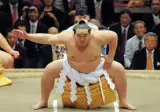일본 스모 GOAT라는 몽골인.jpg