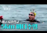 수영 못하는데 해군 사관학교 진학하면 어떻게 사나 했는데