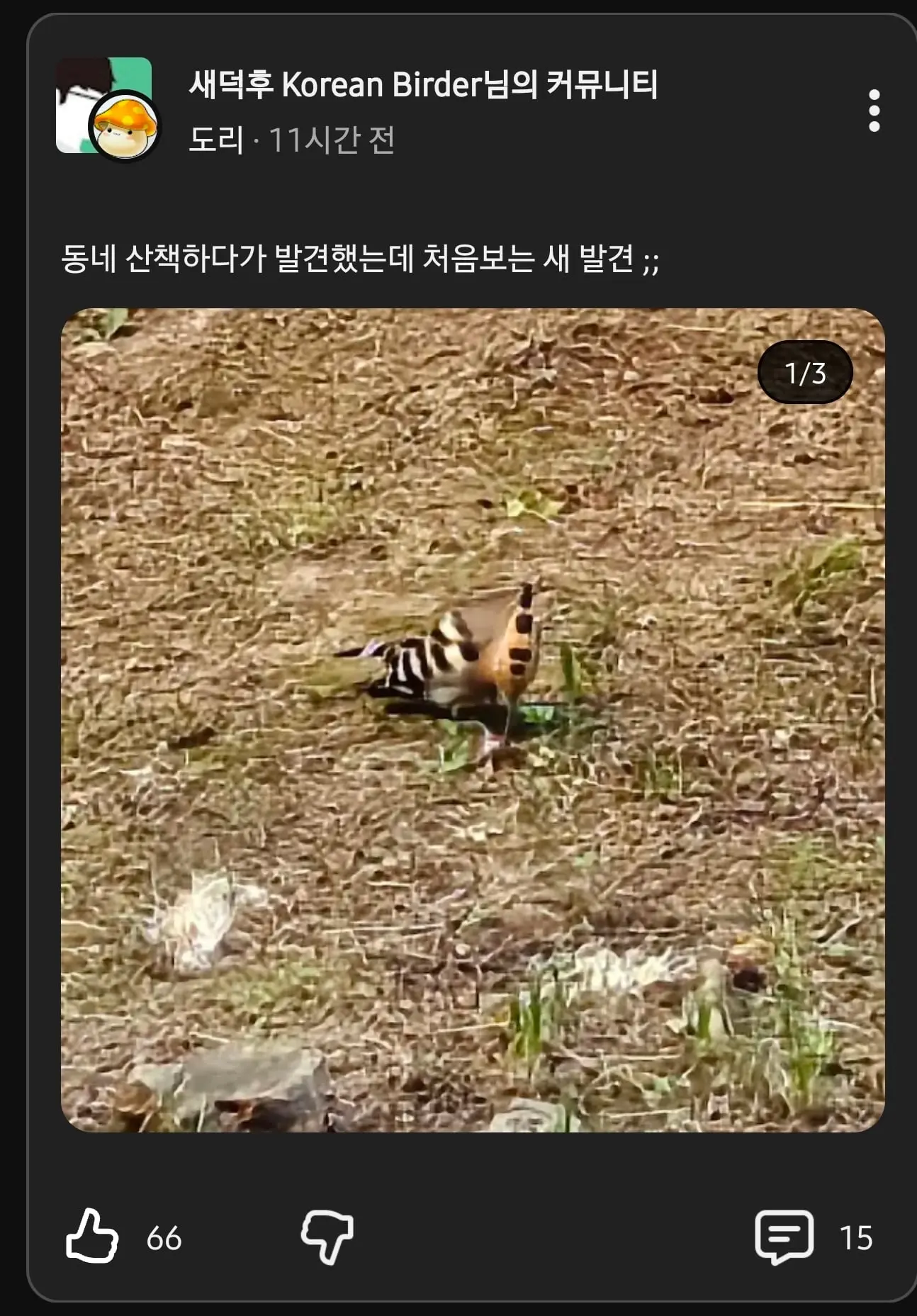 Screenshot_20260614_123748_YouTube.jpg