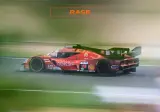 "LE MANS FINISHERS"