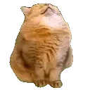 49.thumb128-ezgif.com-webp-to-gif-converter