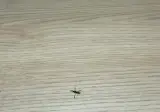 지금 다른게 중요한게 아닙니다