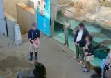 바다사자 먹이 주기 직관.jpg