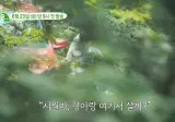 강아지랑 함께 시골로 귀향한 임영웅.jpg