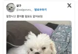 잘잤냐고 물어 볼 필요도 없어보임.jpg