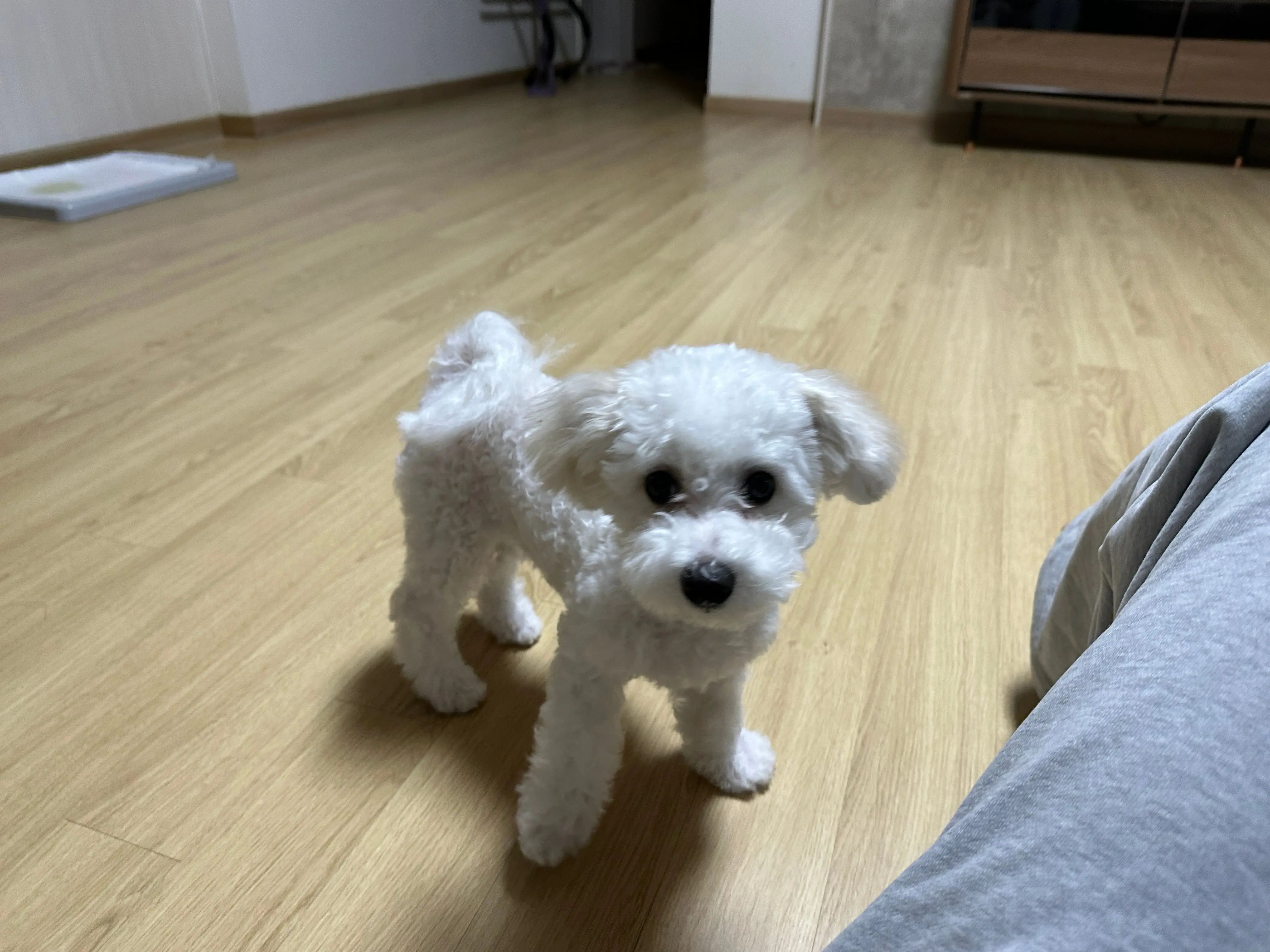 IMG_3413.jpeg