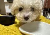 어렸을때 사진 많이 찍어둘걸