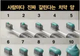 사람마다 다르다는 치약의 양