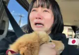 앙꼬 찾으러 갔는데 다른 몽골 강아지가 있어...