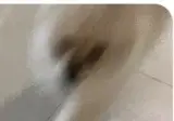 친구집에서 발매트인줄 알고 밟고 있던 것의 정체