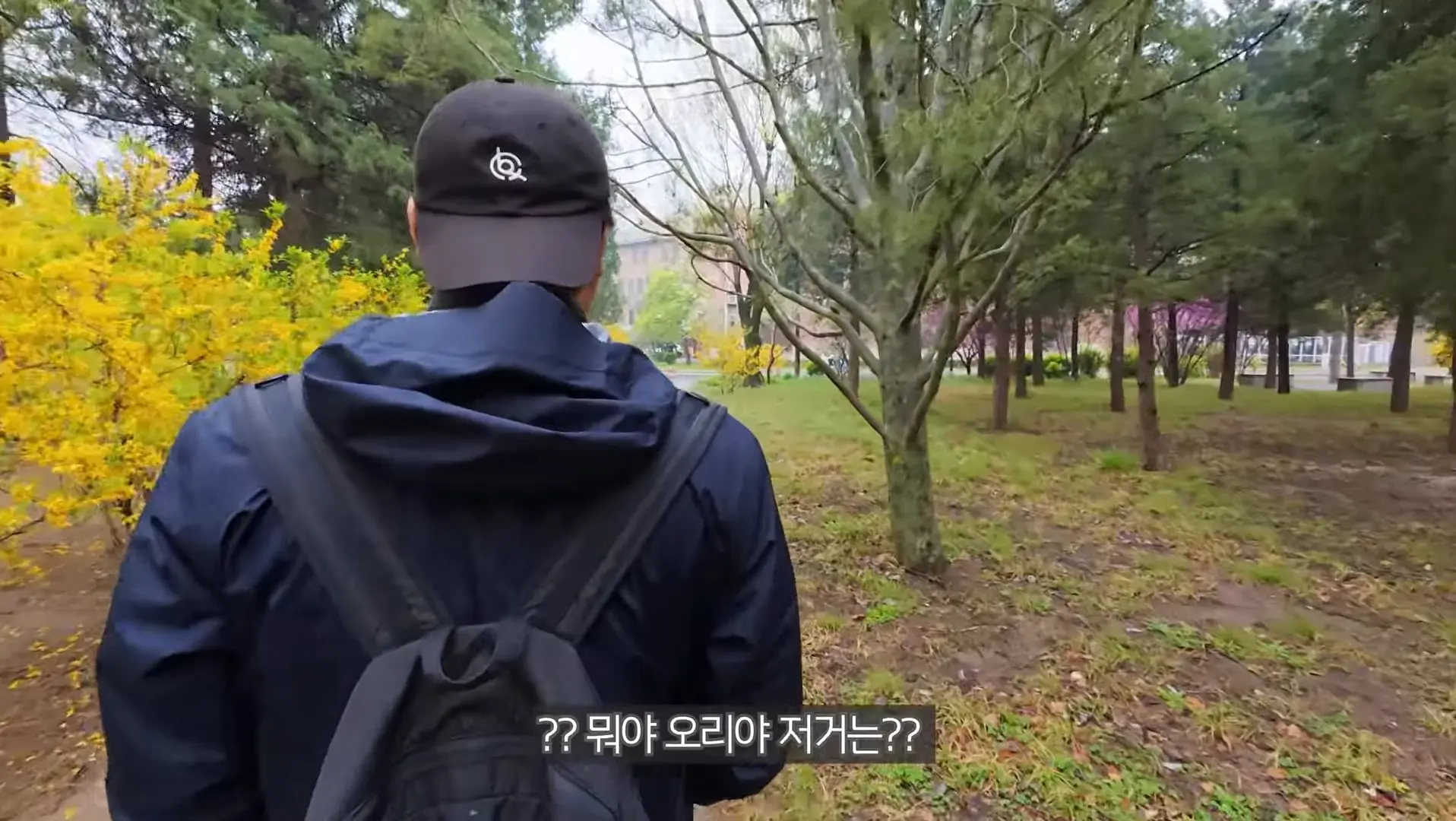 Screenshot_20260619_152235_YouTube.jpg
