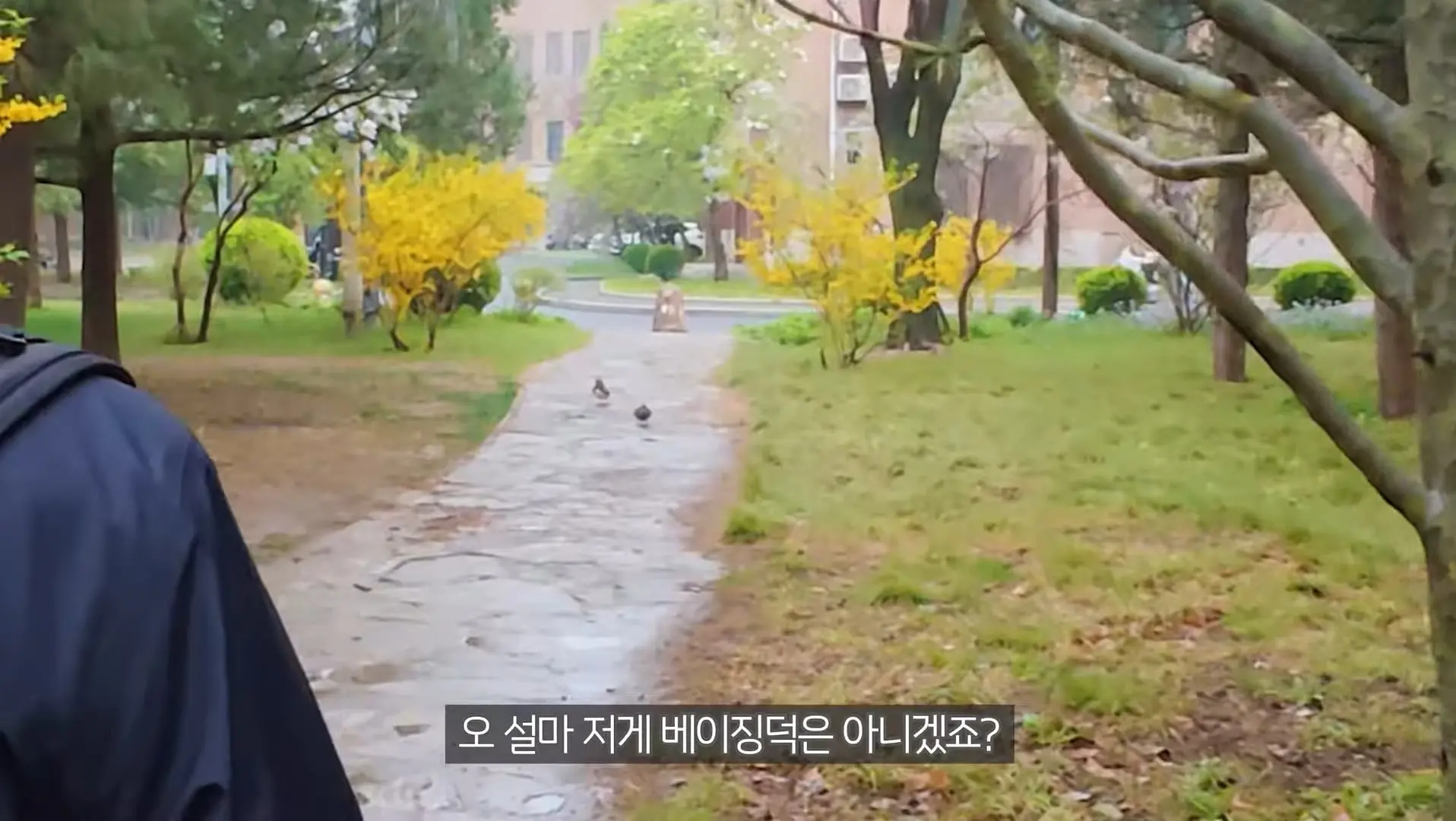Screenshot_20260619_152244_YouTube.jpg