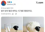 밥이 양의 털로 변하는 식기를 만들었어요