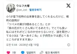 초등학교 1학년 아이가 등하교할 때 있었던 일을 이야기해 주는데.jpg