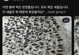 모두가 알았으면 하는 안타깝고 충격적인 사진