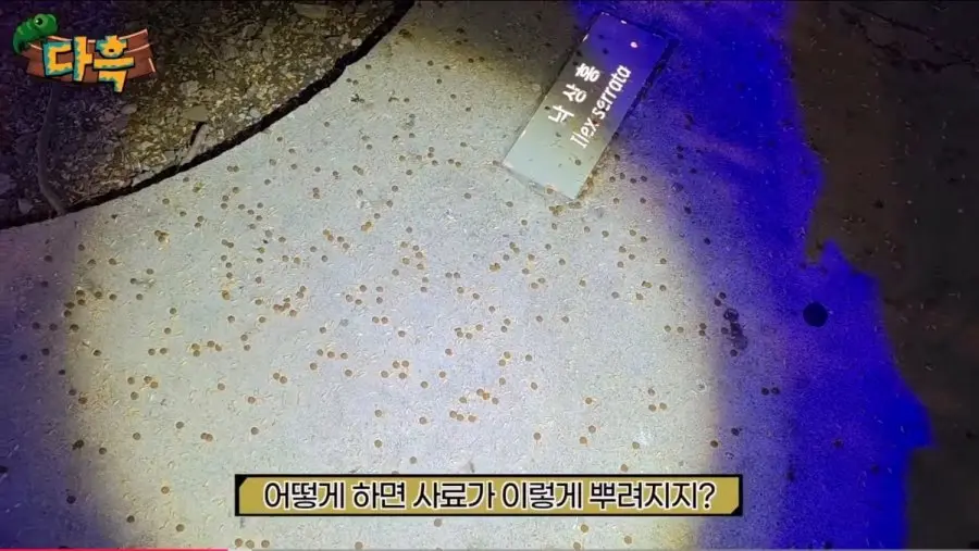 20260619061615_CQMS33S94a.jpeg