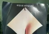 무엇으로 보이십니까 ??jpg