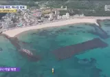 잃어버린 백사장 되찾았다