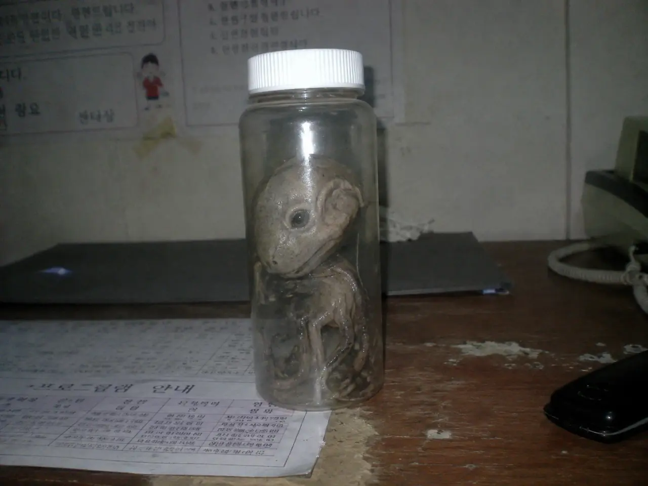 12B4E8B8-D537-4183-97A7-B73A4BE6F5CA.png 기괴) gpt 이미지 2.0으로 만들어본 것들 28탄