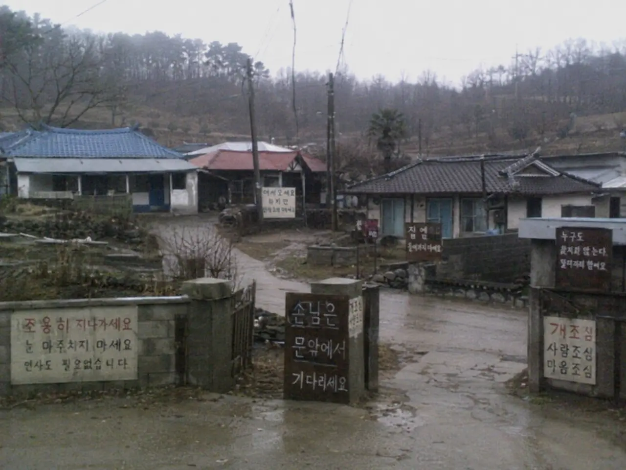 EE79A3A4-1E02-4C50-9275-466878E327EB.png 기괴) gpt 이미지 2.0으로 만들어본 것들 28탄