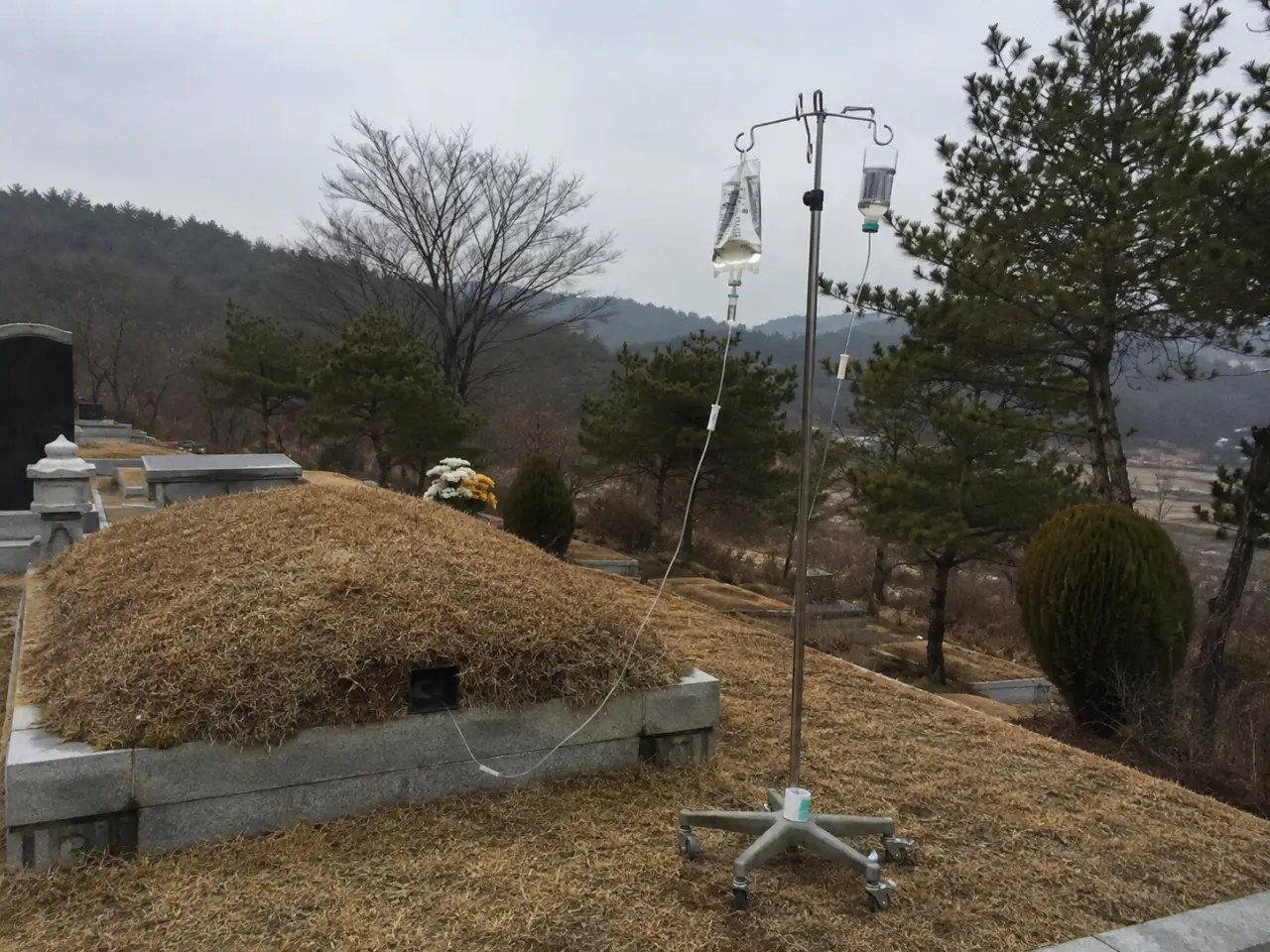 97042BBA-C430-4150-B40A-177EEBE9449D.png (기괴, 혐오) gpt 이미지 2.0으로 만들어본 것들 20탄