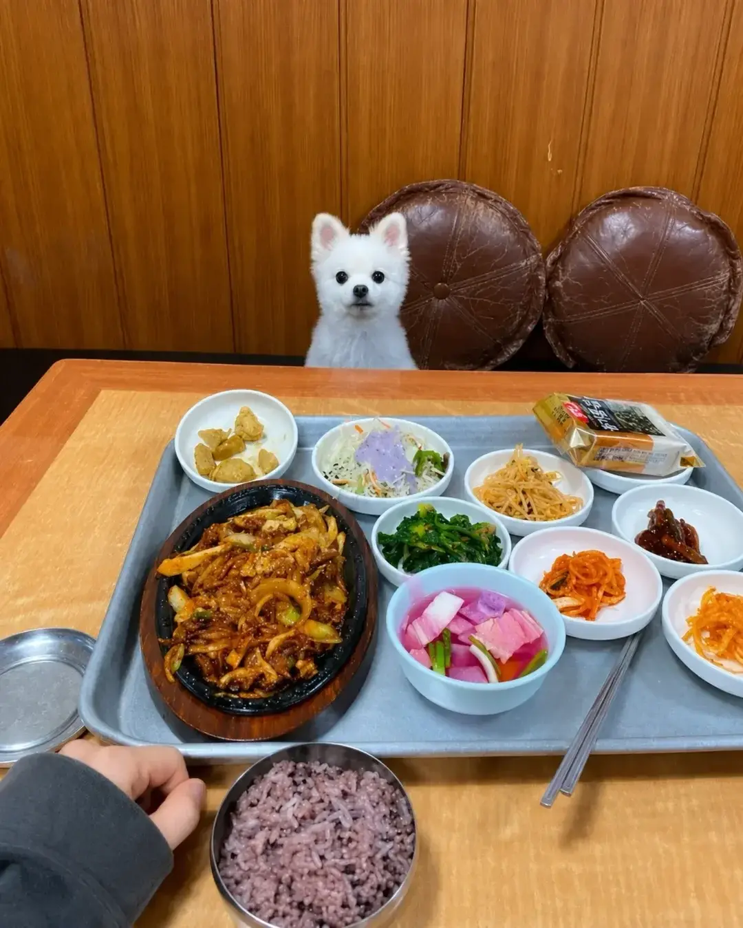 20260621115737_2HwcjevtTu.webp