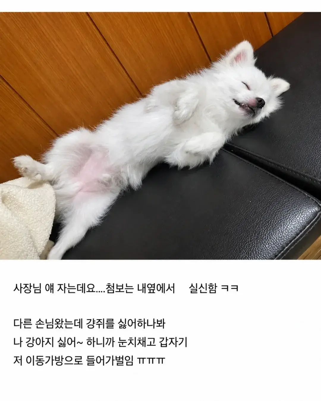 20260621115736_5hZEYwo1Gi.webp