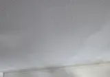 다이어트 존나 쉽더라 절반이나 뺌