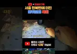 서울 한복판에 터진 바퀴벌레 폭탄