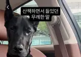 산책하면서 들었던 가장 무례한 말.jpg