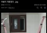 해먹딸 치다가 엄마한테 걸린 디시인