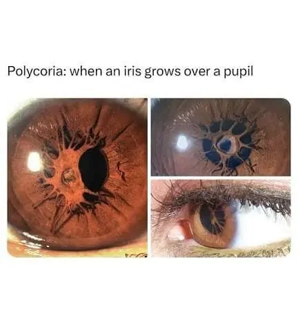 1782130957.jpeg
