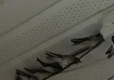 펜션 놀러갔다가 까치들봄
